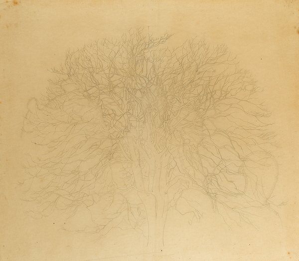 Winifred-Knights: Study-for-the-background-tree-in-St.-Martins,-circa-1930