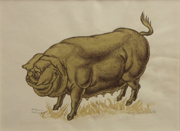Artist James Woodford (1893–1976): Norwich Market Prize Winning Pig, circa 1950