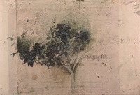 Artist Sir Thomas Monnington: Study of a laurel bush, 1919